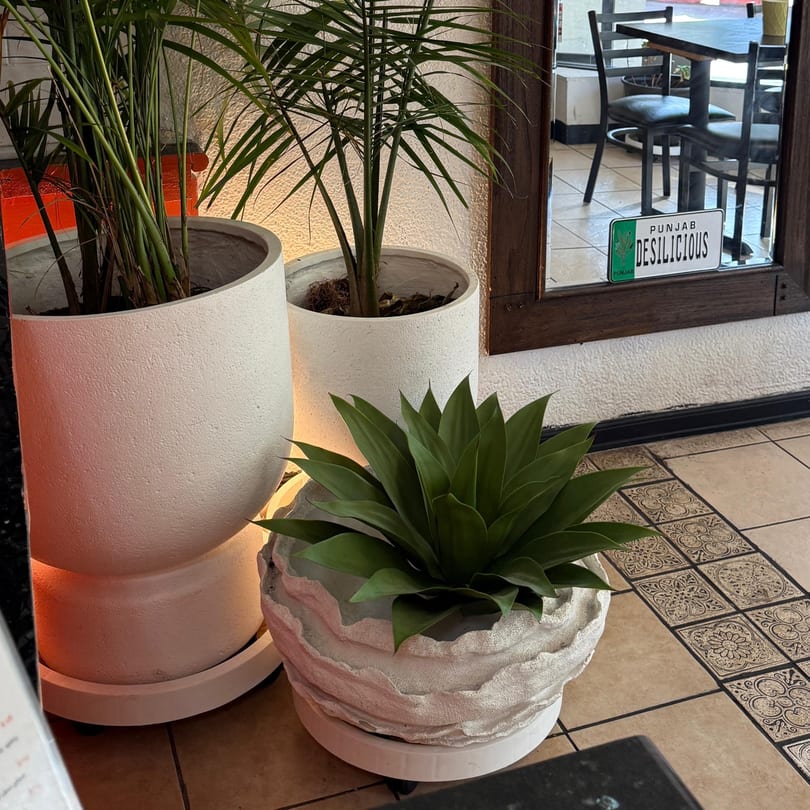 Three potted plants, two tall and one short, next to a mirror reflecting a restaurant table and chairs.