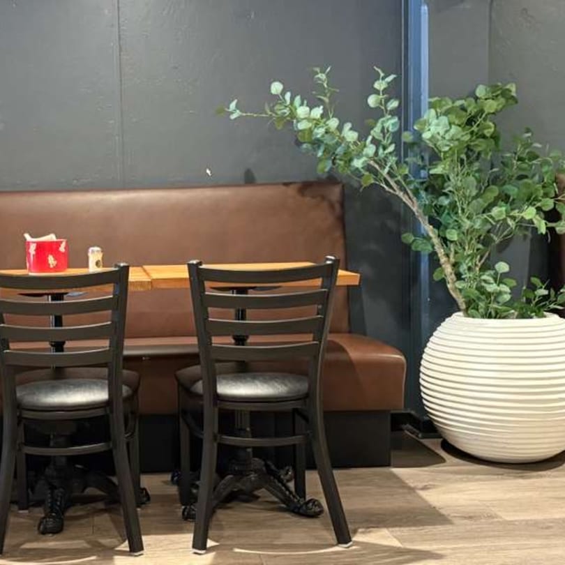 A restaurant booth with two chairs, a wooden table, and a large potted plant with green leaves.